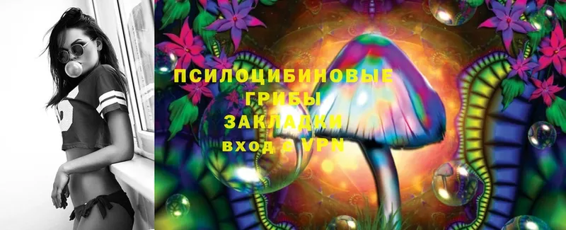 Псилоцибиновые грибы MAGIC MUSHROOMS  KRAKEN вход  Сергач  купить  цена 